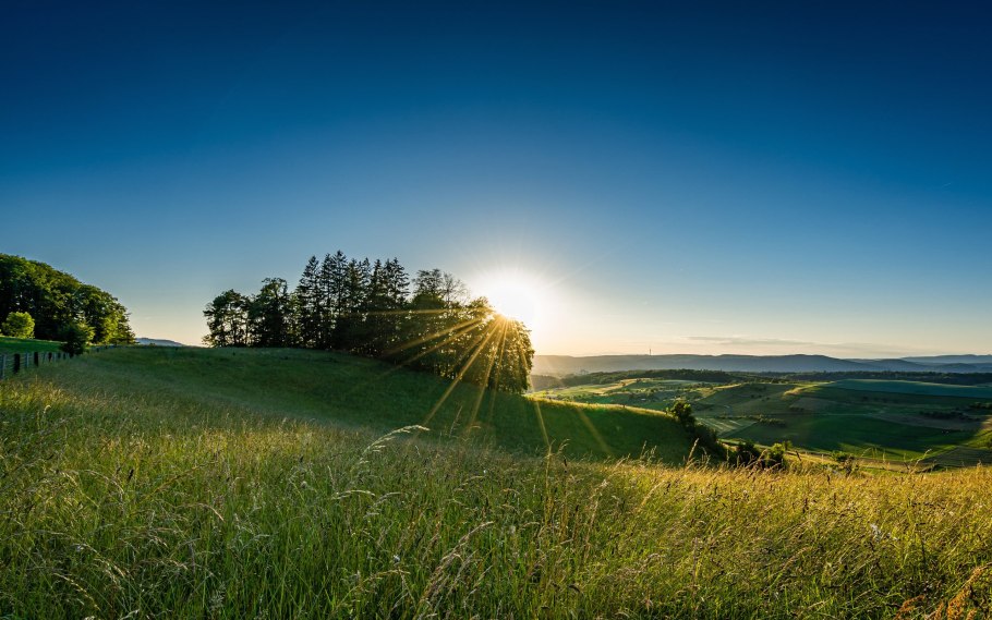Закат в поле