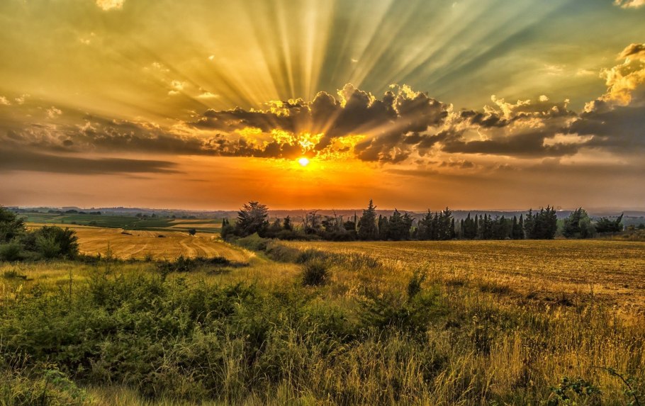 Рассвет в поле