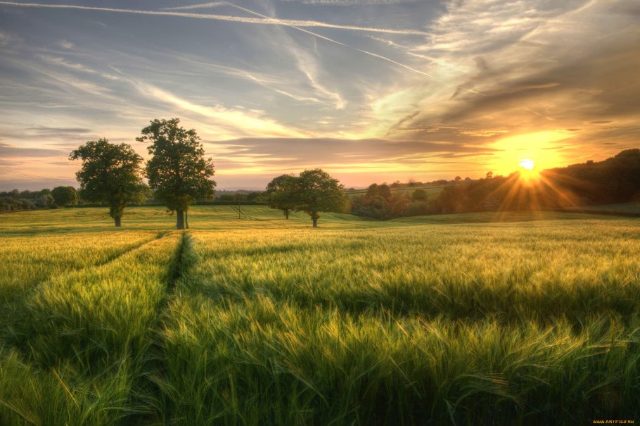 Природа солнце