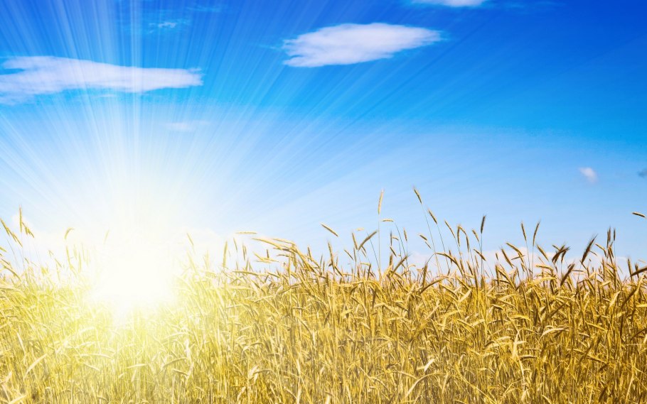 Небо солнце