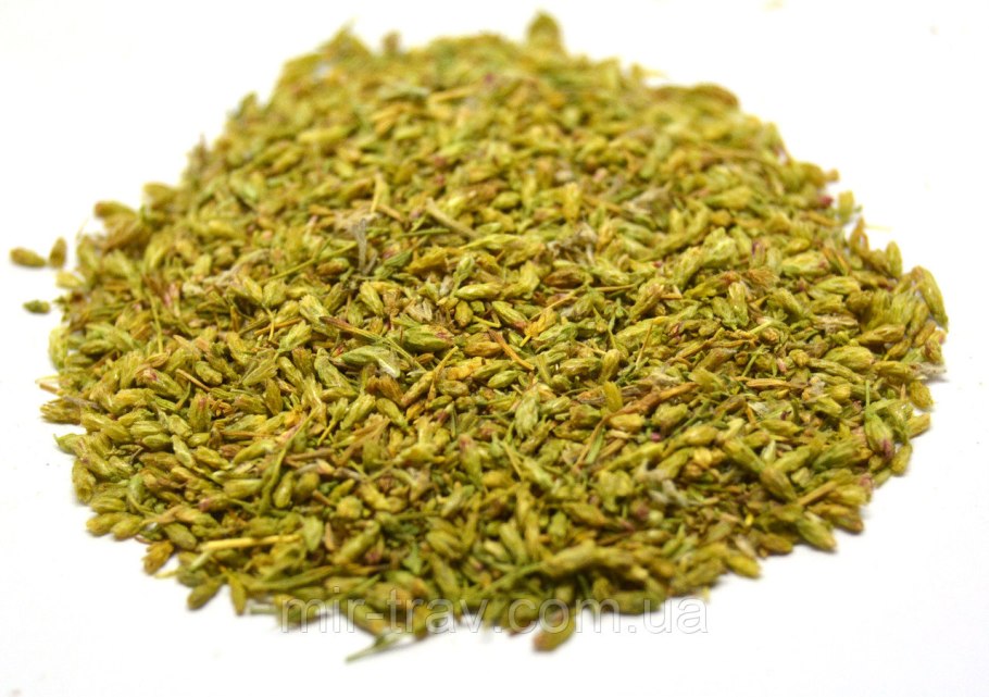Полынь цитварная (Artemisia Cina)