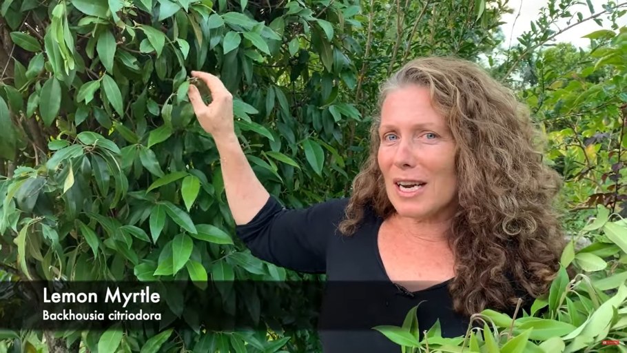 Мирт обыкновенный