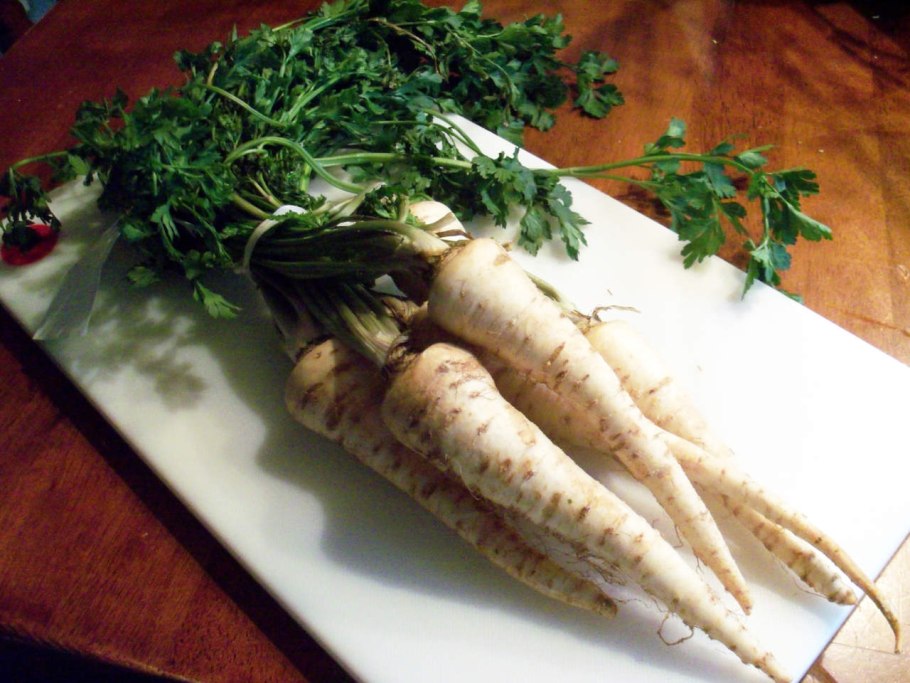 Петрушка корневая Алба