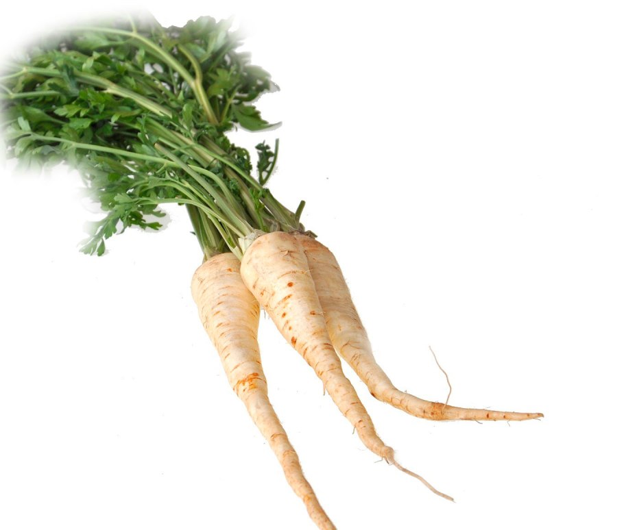 Петрушка корневая Бордовикская