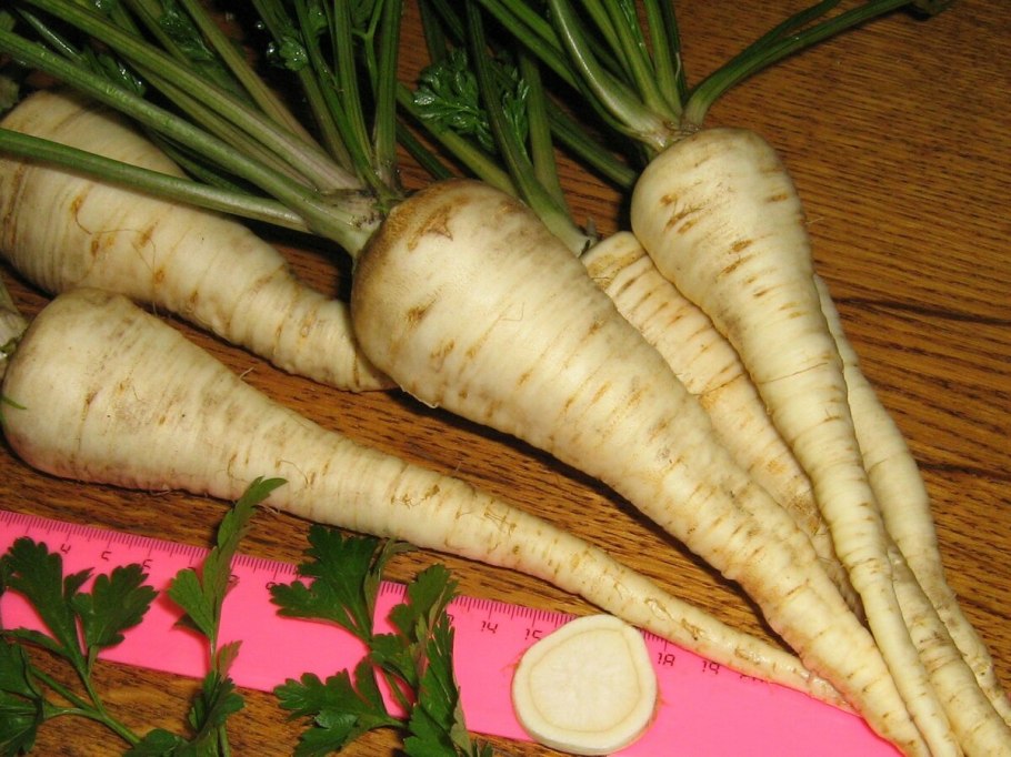 Корешки петрушки