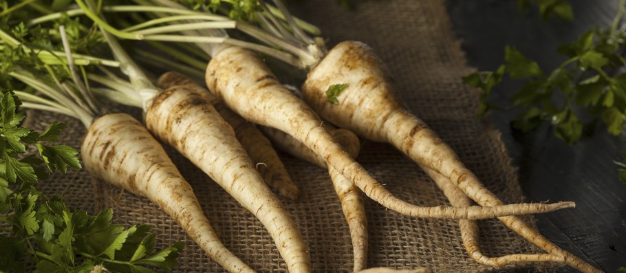 Корень петрушки купить
