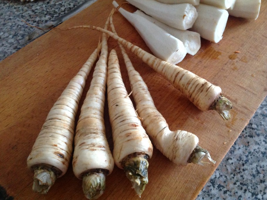 Пастернак корнеплод