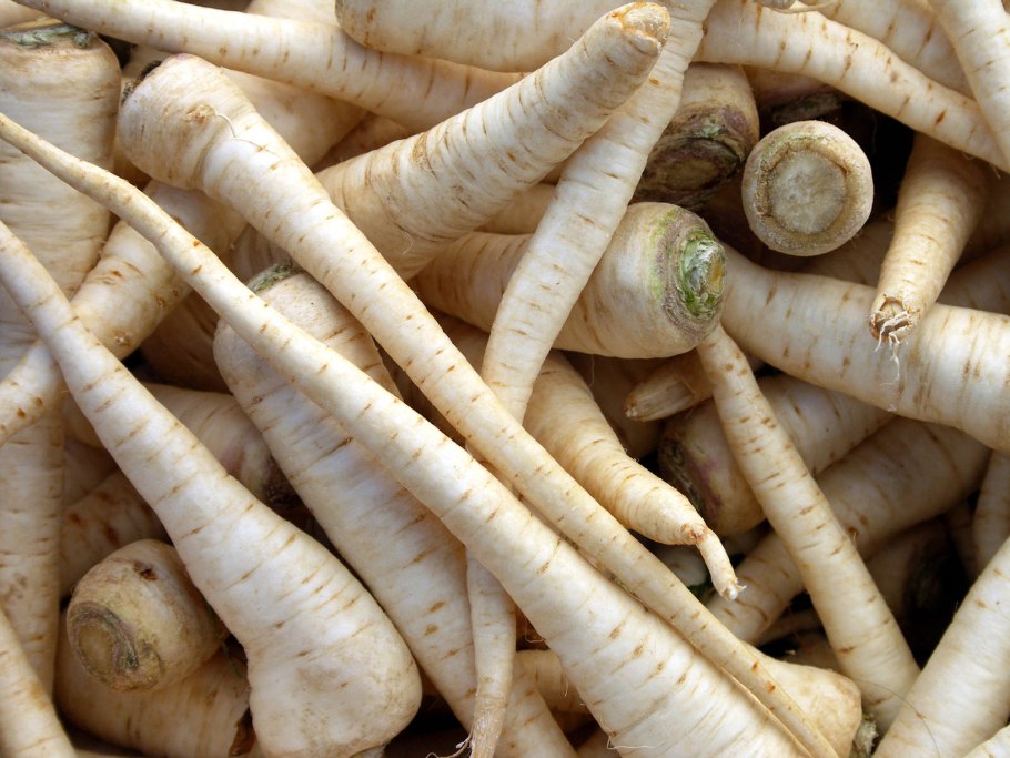 Семена петрушка Альба корневая