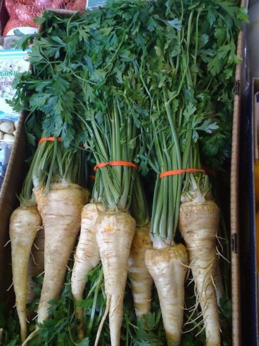 Корень петрушки