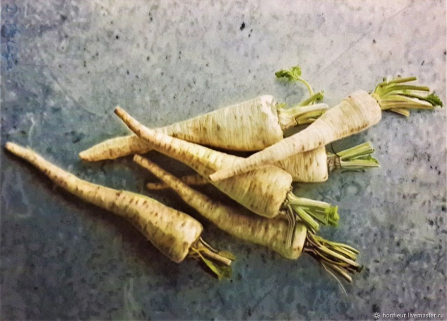 Пастернак и корень петрушки