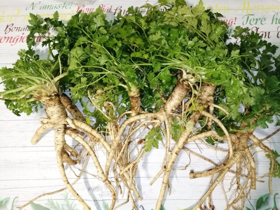 Петрушка Берлинская