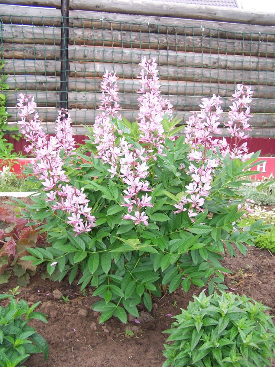 Обследование женщин