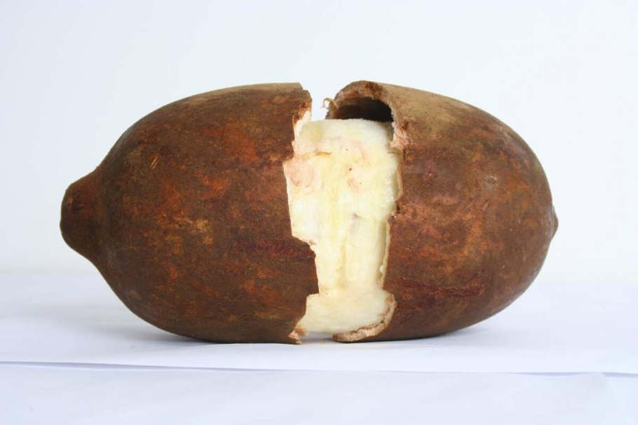 Купуасу фрукт фото