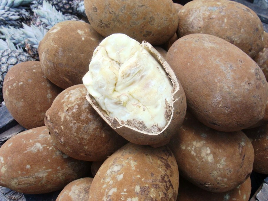 Купуасу (Cupuaçu)