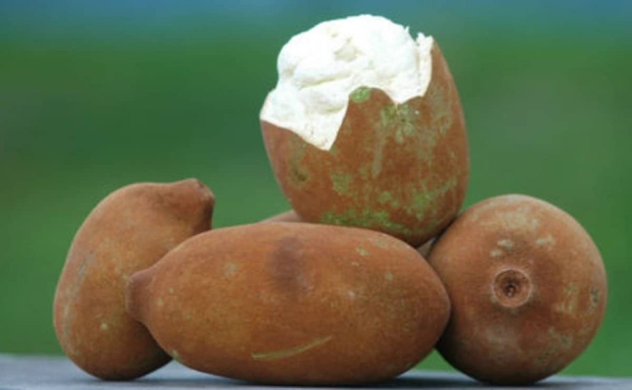 Масло купуасу для лица