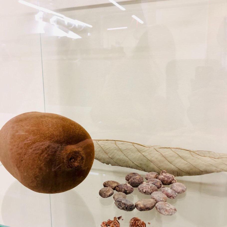 Купуасу дерево