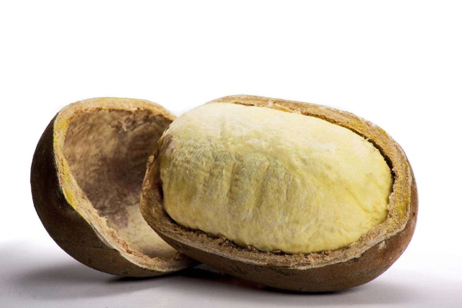 Змеиная ягода Салак