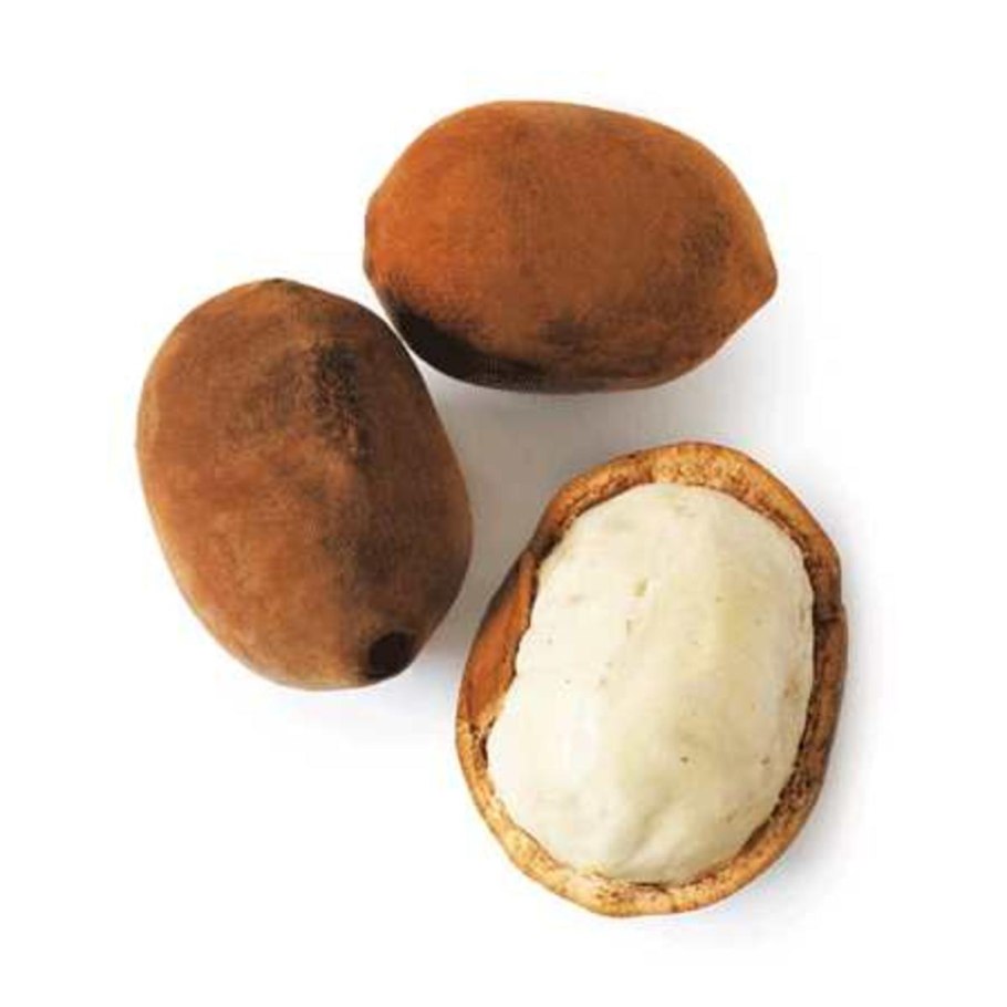 Theobroma Cacao дерево