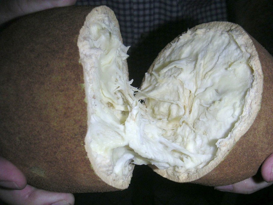 Купуасу фрукт