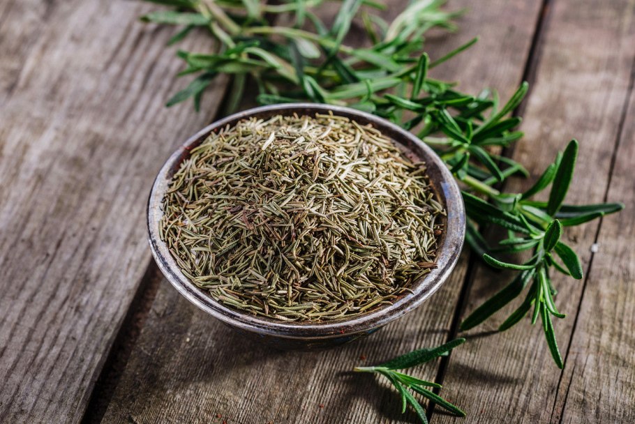 Rosmarinus officinalis