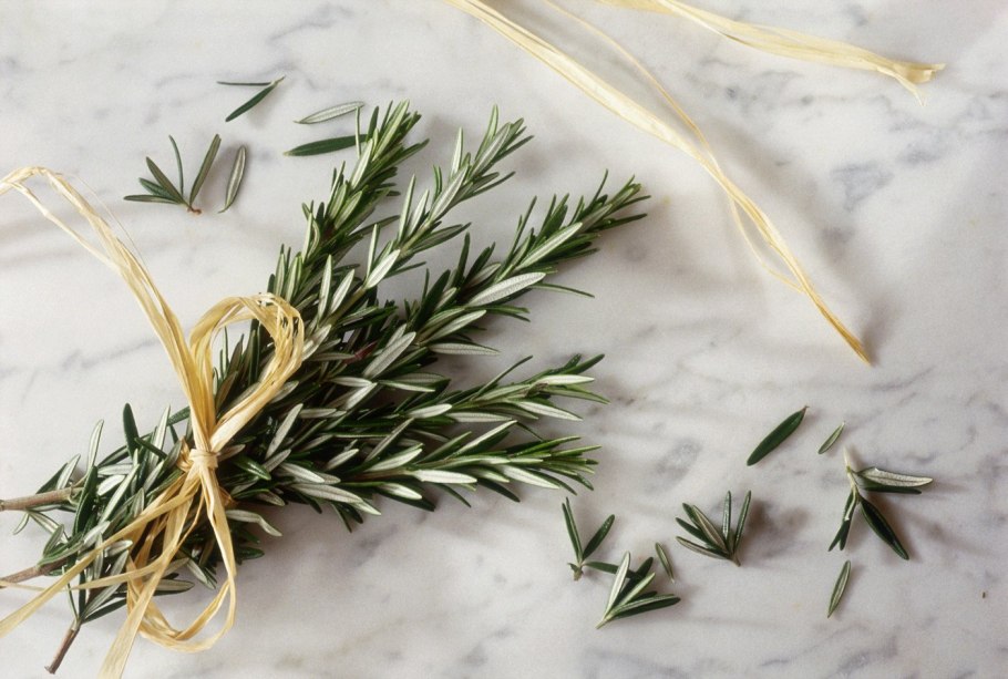 Розмарин растение