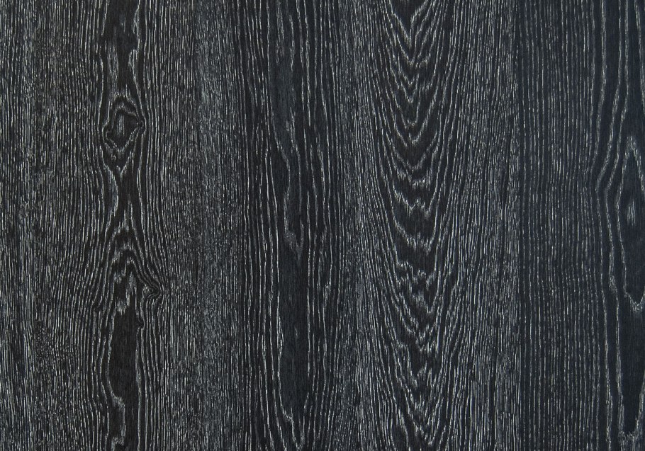 Черный дуб дерево