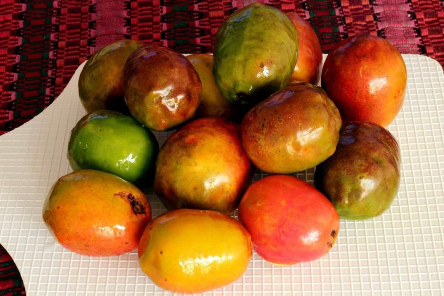 Спондиас или момбин(