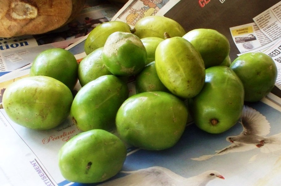 Тропические фрукты на дереве