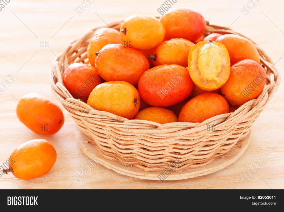 Пурпурный момбин (Spondias purpurea)