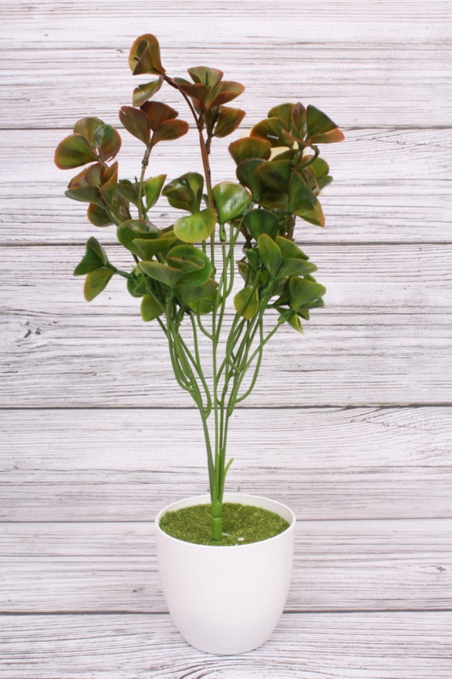 Фотография черешкового табака