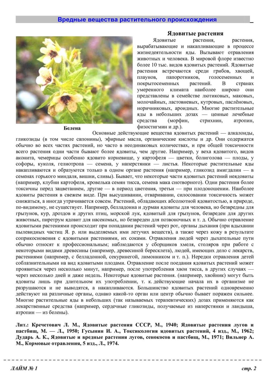 Ядовитые части борщевика Сосновского