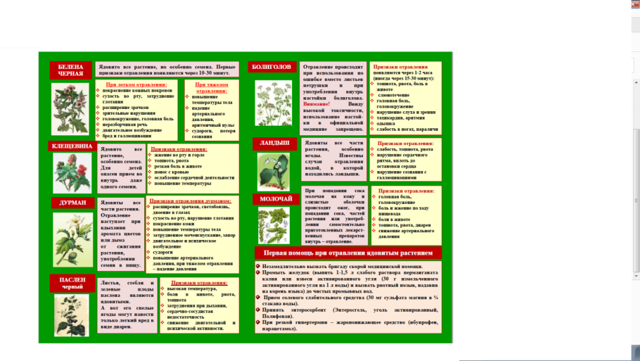 Отравление ядовитыми растениями Ветеринария