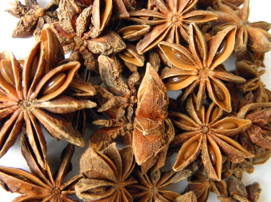 Бадьян звездчатый