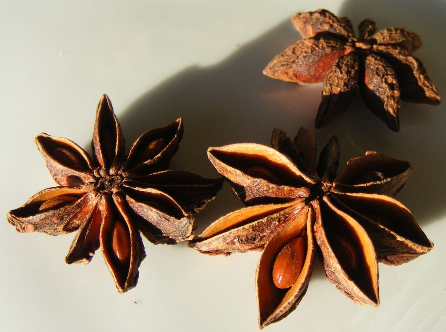 Бадьян японский