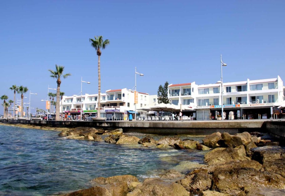 Пафиния Кристата