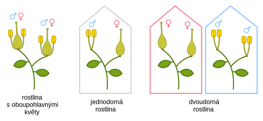 Однополые и двуполые растения