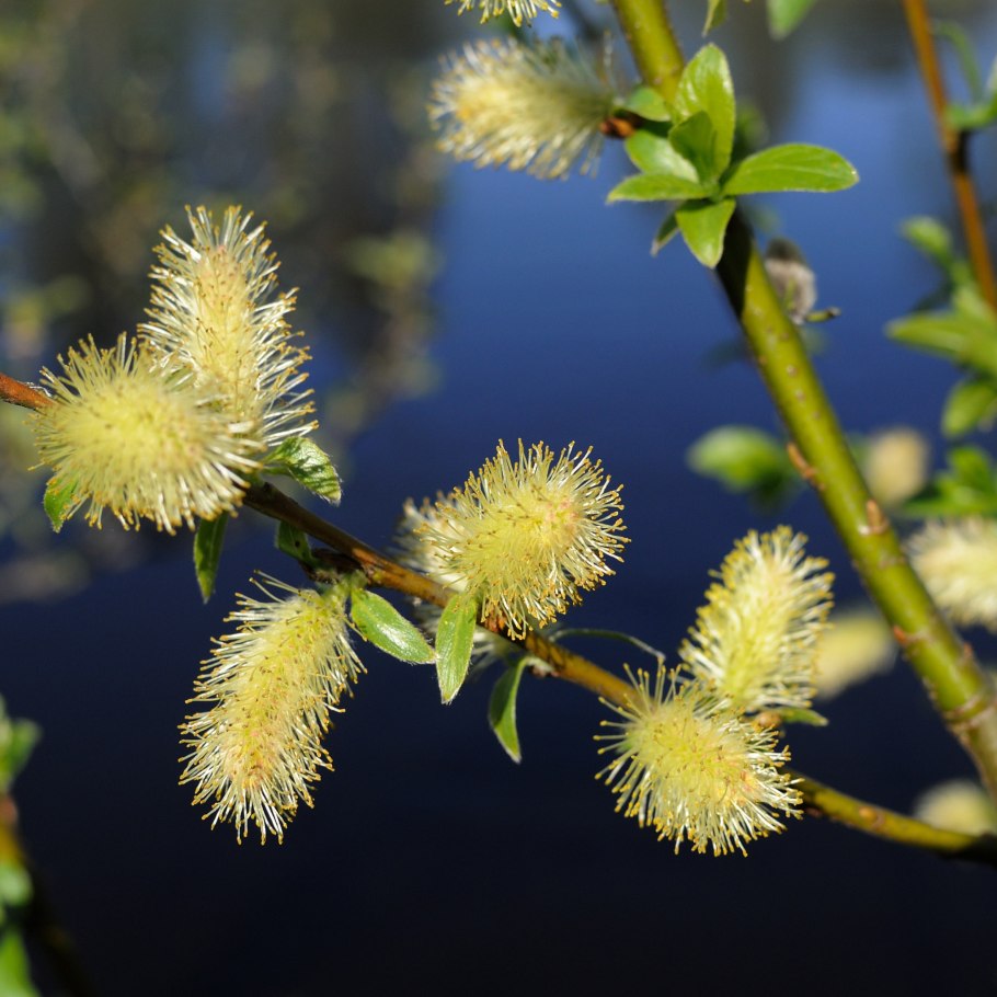 Крючки Gamakatsu Hook LS-1810b