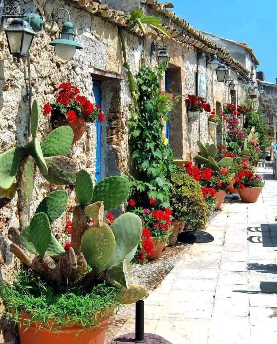 Мишель Монделло собор