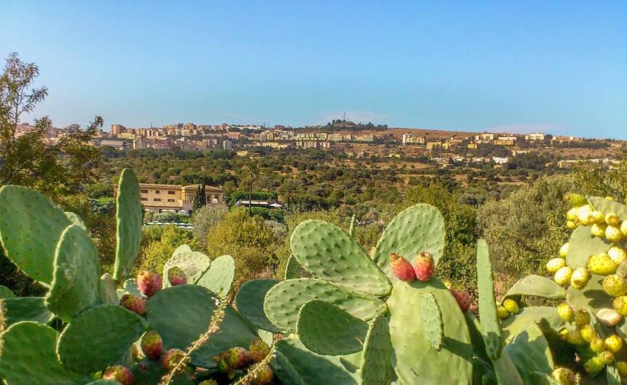 Агридженто, Сиракузы,Палермо