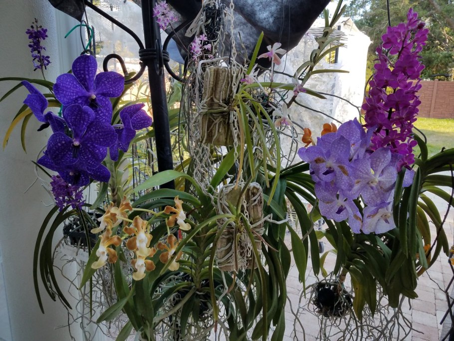 В комнате Ванды