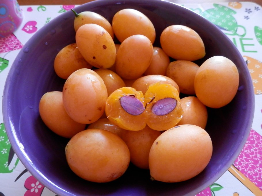 Марианская слива или гандария