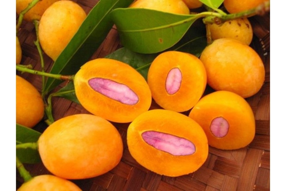 Манго слива