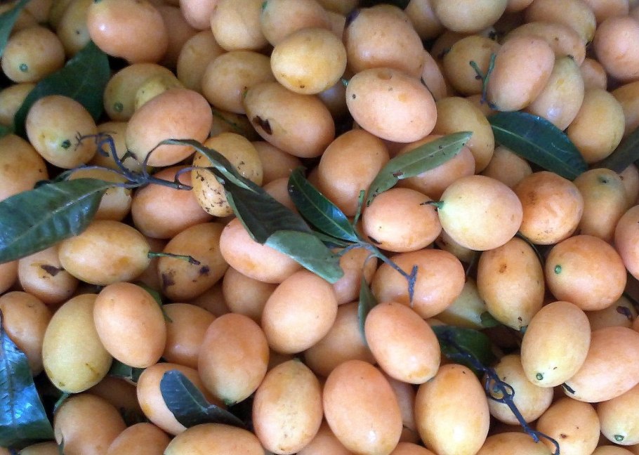 Марианская слива