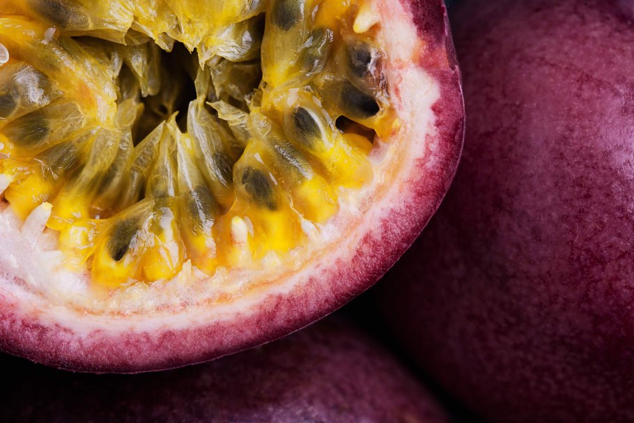 Лонган фрукт Росток