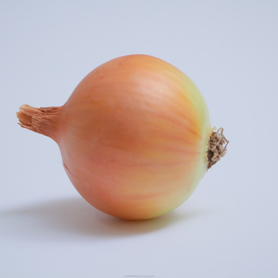 Многолетний лук на зелень батун