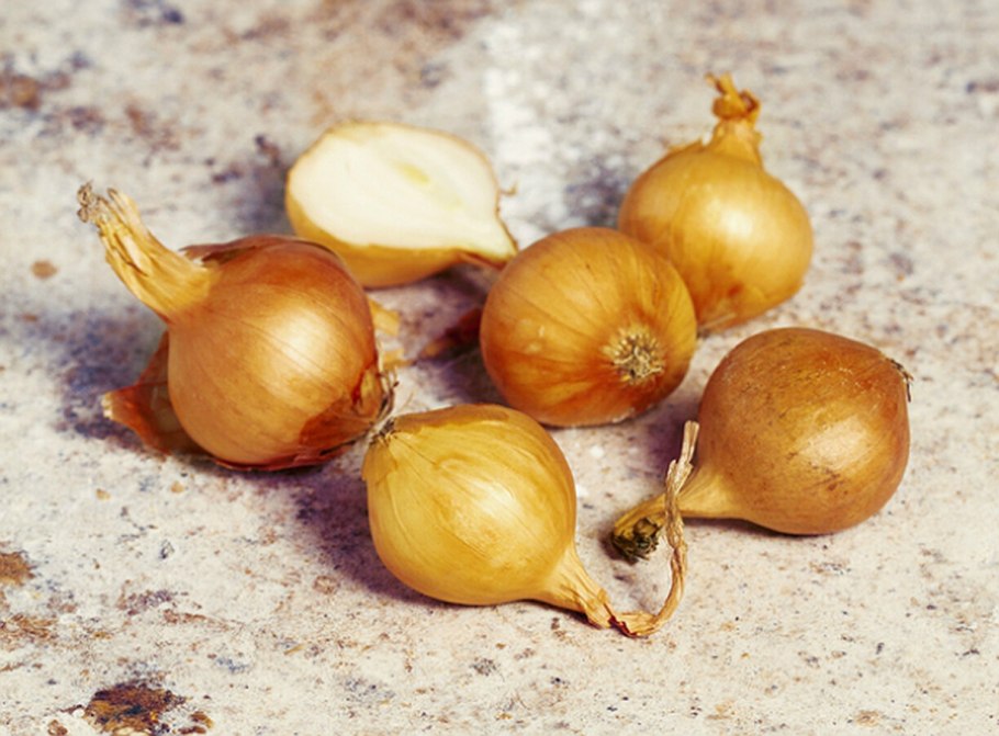 Вьетнамский лук