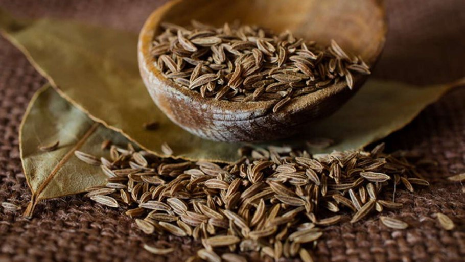 Тмин (Carum Carvi)