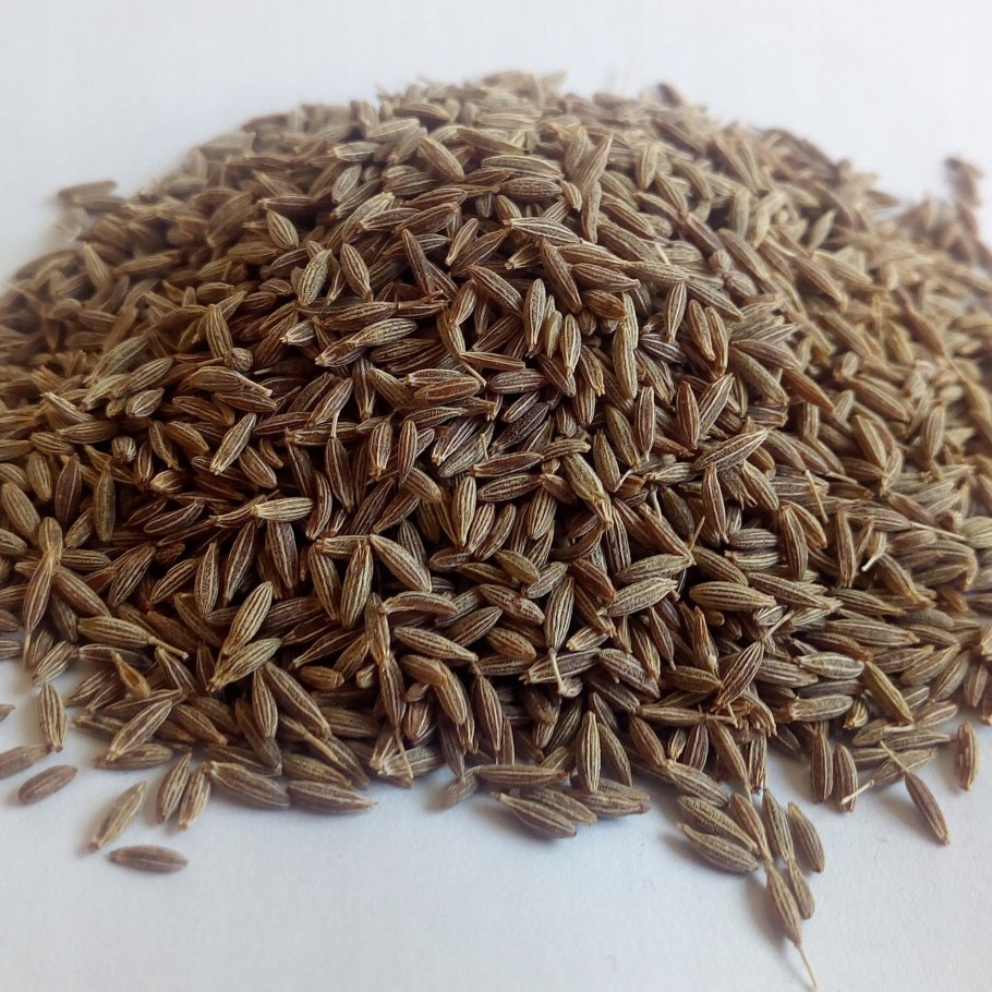 Кмин тминовый