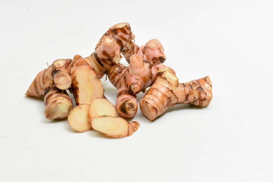 Галаган растение