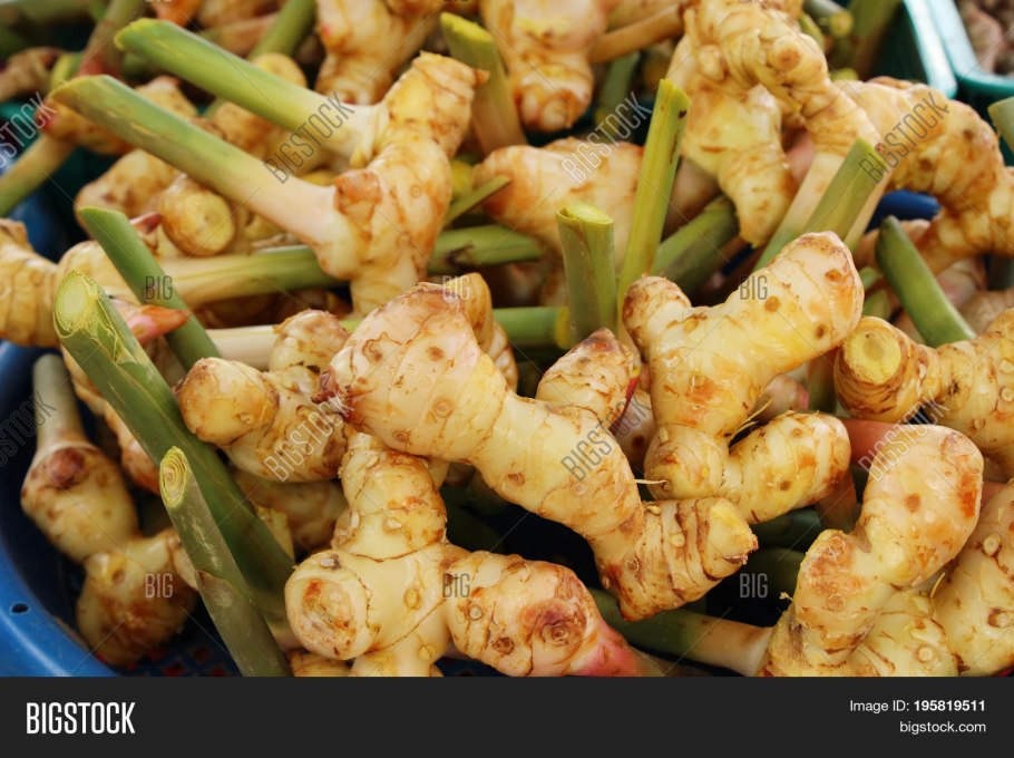 Альпиния пурпурная